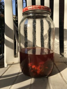 avocado-dye-bath-4th-day