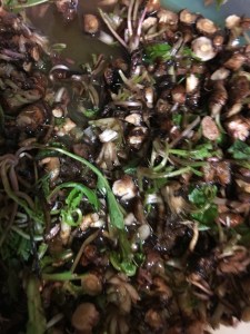 dandelion-root-dye-bath