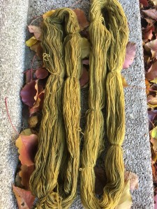 fig-leaf-dye-iron-mordant-marigold-afterdye