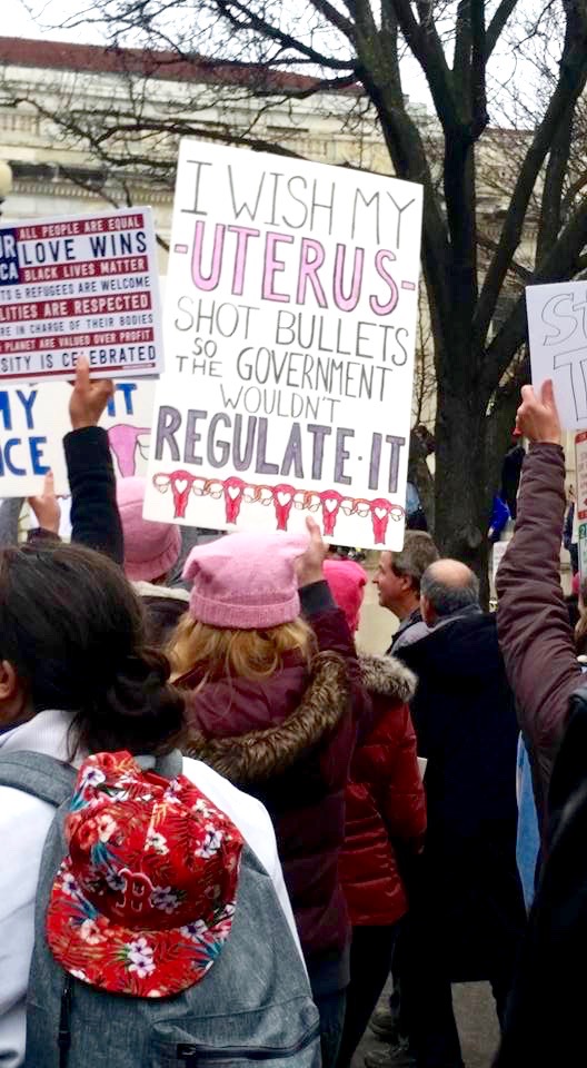 Signs at the Washington Women's March