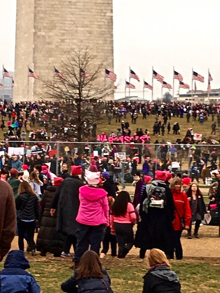 Crowd shot at Washington Monument