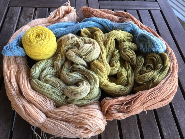Pink yarn dyed with avocado skin and pits; yellow from marigold; green from red maple leaves; blue from black beans