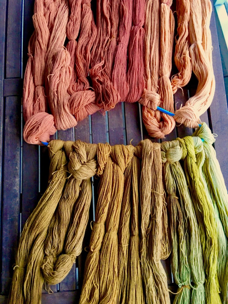 Avocado dye, maple hull dye, brown maple leaf dye, red maple leaf dye