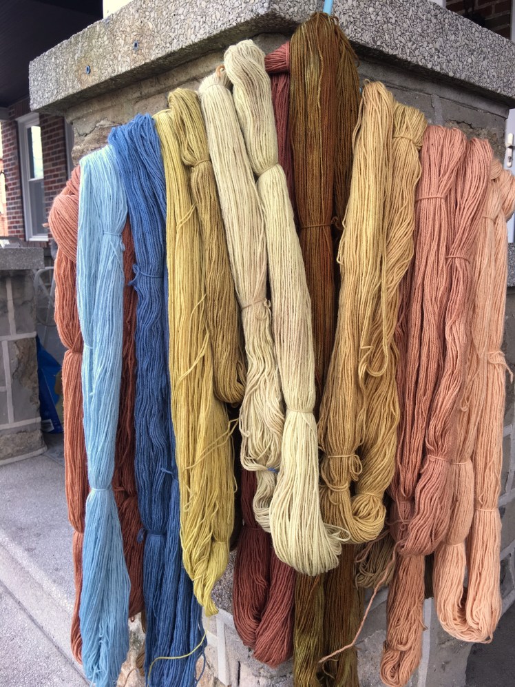 Two shades of black bean dyed yarn with other plant-dyed colors