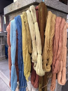 Two shades of black bean dyed yarn with other plant-dyed colors