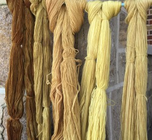 Five colors, same dye bath