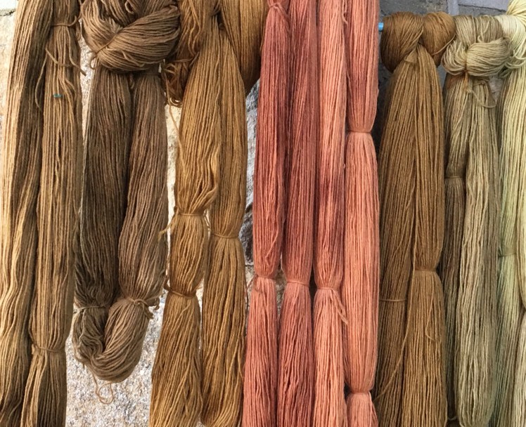 Two intensities of avocado pit dyed yarn (center) surrounded by brown plant-dyed yarn