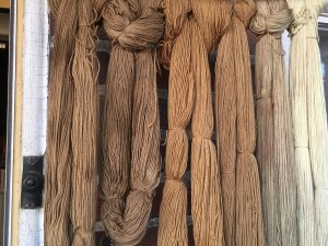 Left two skeins, walnut hull dye; center two skeins, brown maple leaf dye; right two skeins, red maple leaf dye