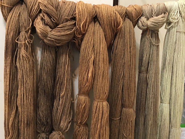 Left two skeins, walnut hull dye; center two skeins, brown maple leaf dye; right two skeins, red maple leaf dye