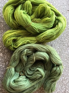 Comparison of different dyeings of yarn dyed in black bean bath and overdyed in marigold, first dyeing top, second dyeing bottom