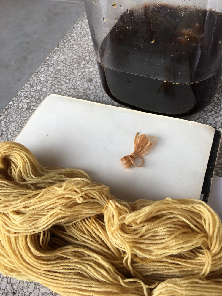 Experimentation with dye extraction methods