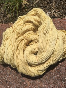 Yellow yarn resulting from alkaline rhubarb leaf dye
