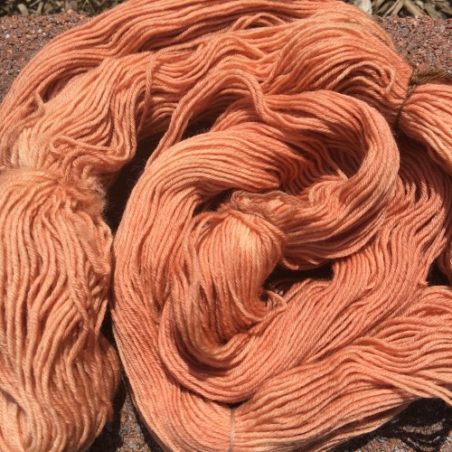 Second dyeing of avocado stone bath