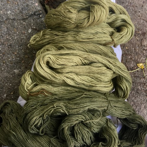 Green yarn dyed in various plant dyes and modifiers