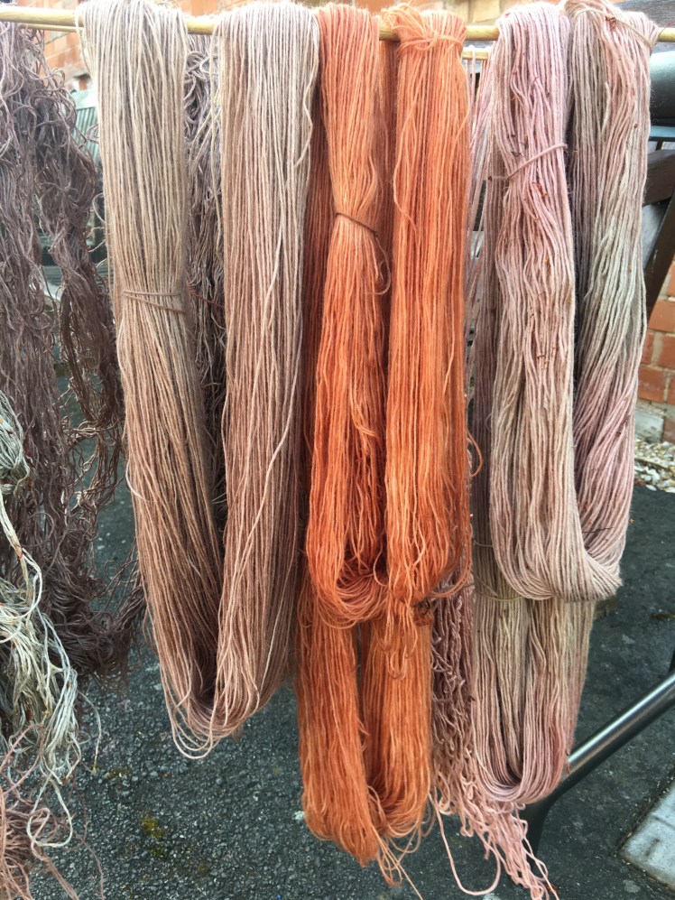 Wollmeise superwash wool dyed in hibiscus and avocado stone