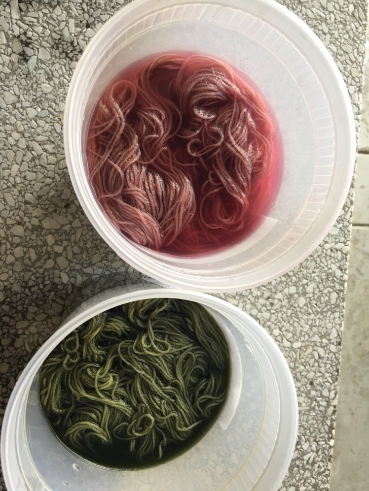 Black bean dye bath pH modified with lemon and washing soda