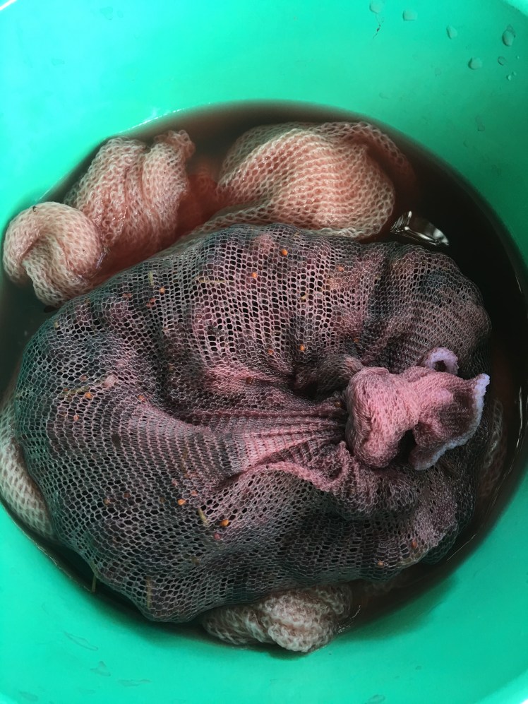 Scarf being dyed in mulberry dye bath