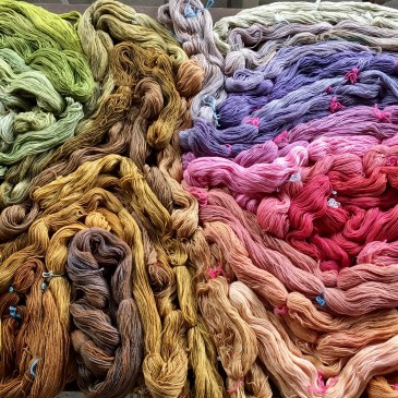 yarn dyed with tansy, amaranth, cherry, etc.