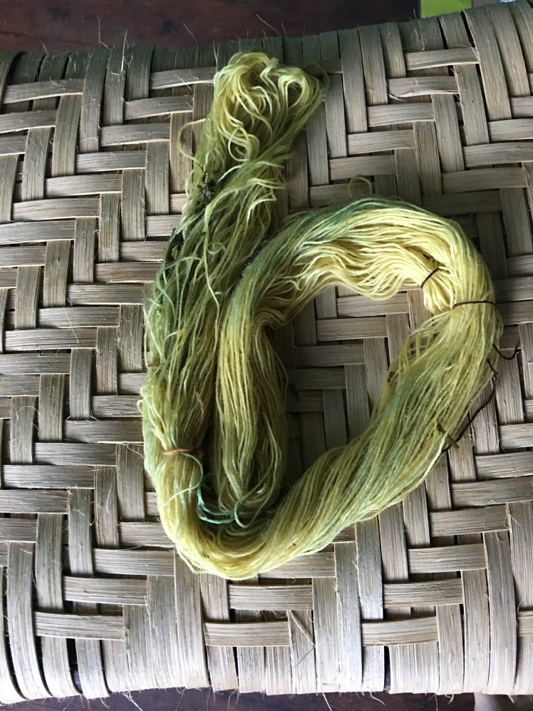 Oxidation changes color of yarn dyed in tansy from yellow to green