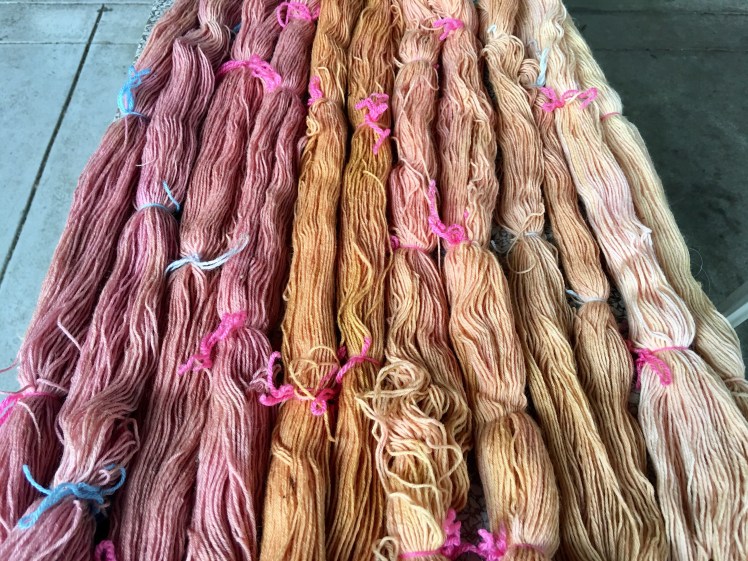 Yarn dyed in various yellow dyes and overdyed in amaranth