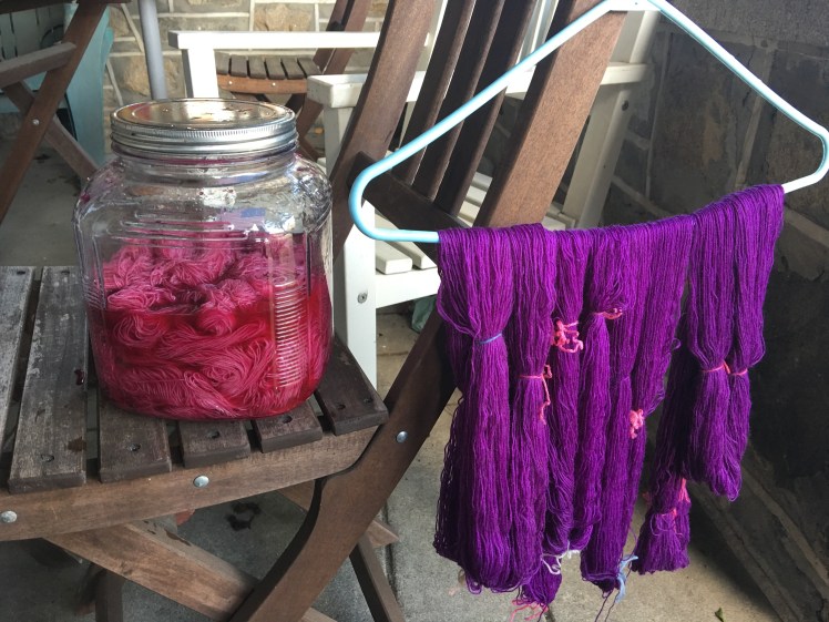 Amaranth and pokeberry fermentation dyeing
