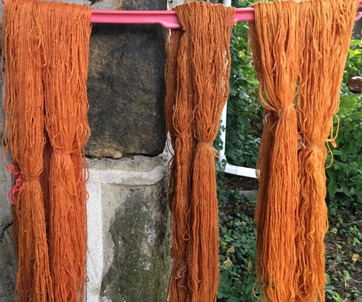 Annatto seed dyed yarn before rinsing and drying