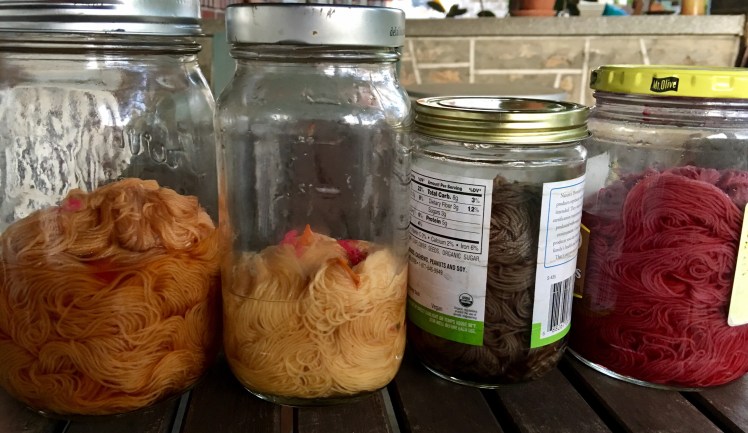 Yarn in jars of acidic and alkaline baths of fermented yellow cosmos and hibiscus dyes
