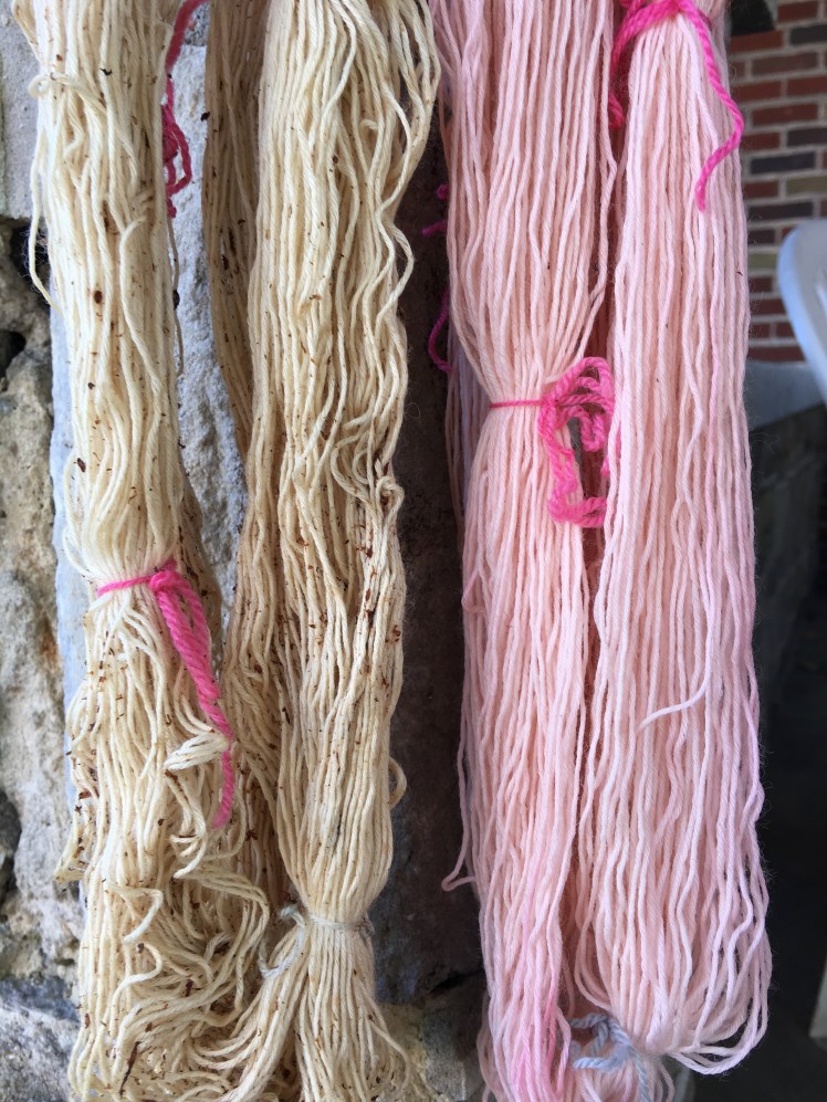 Yarn dyed in fermented gingko fruit and penstemon