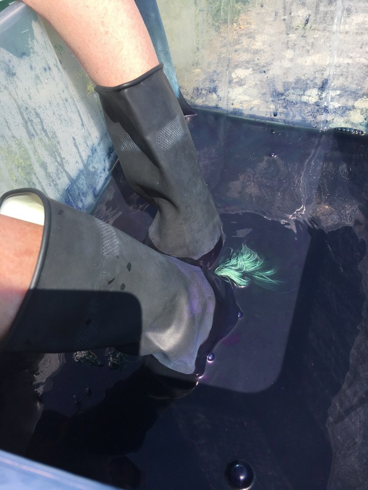 Adding yarn to an indigo bath