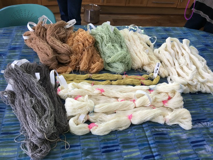 yarn prepared for dyeing with various mordants