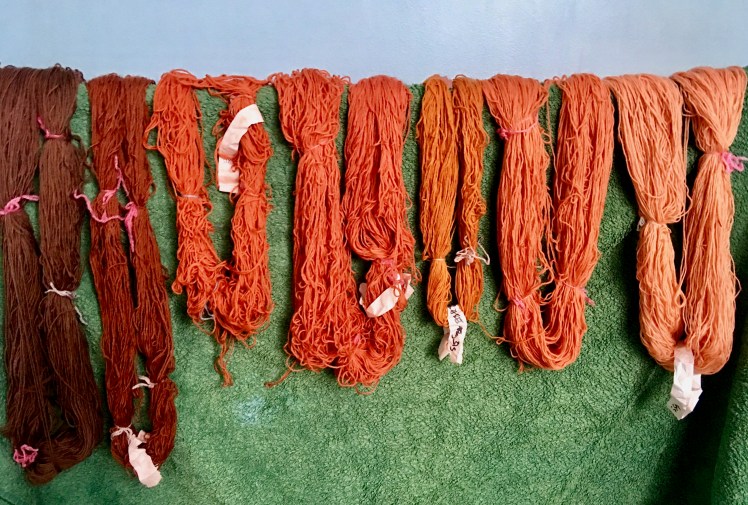 Madder dye on superwash yarn